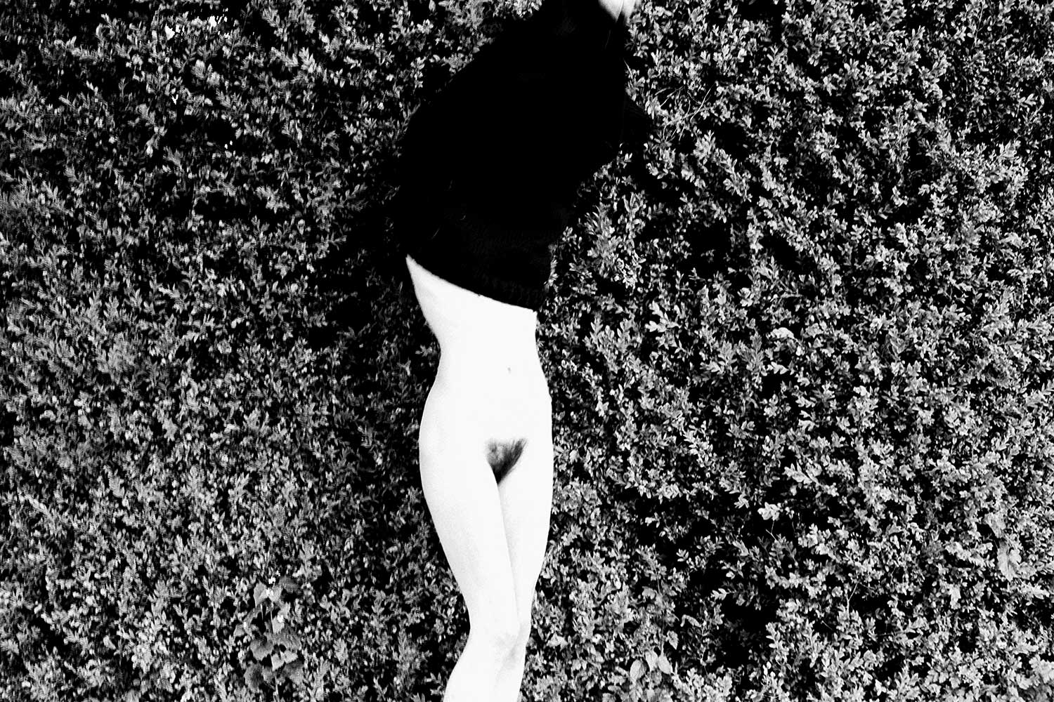 NU03-hedge-1500