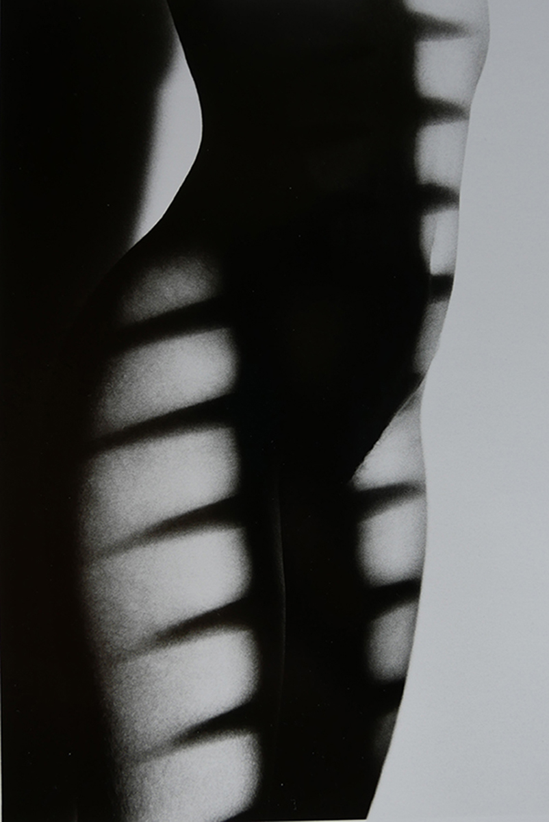 shadow-972-1200